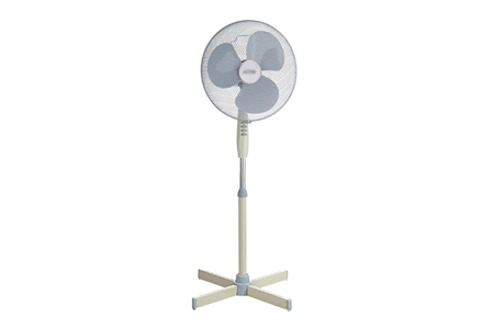CCH-SF2818